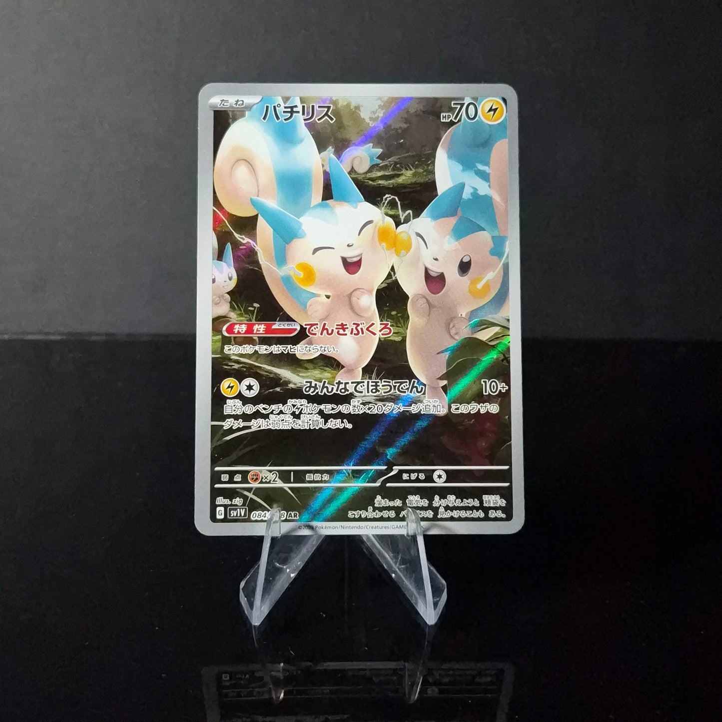 Pachirisu #84