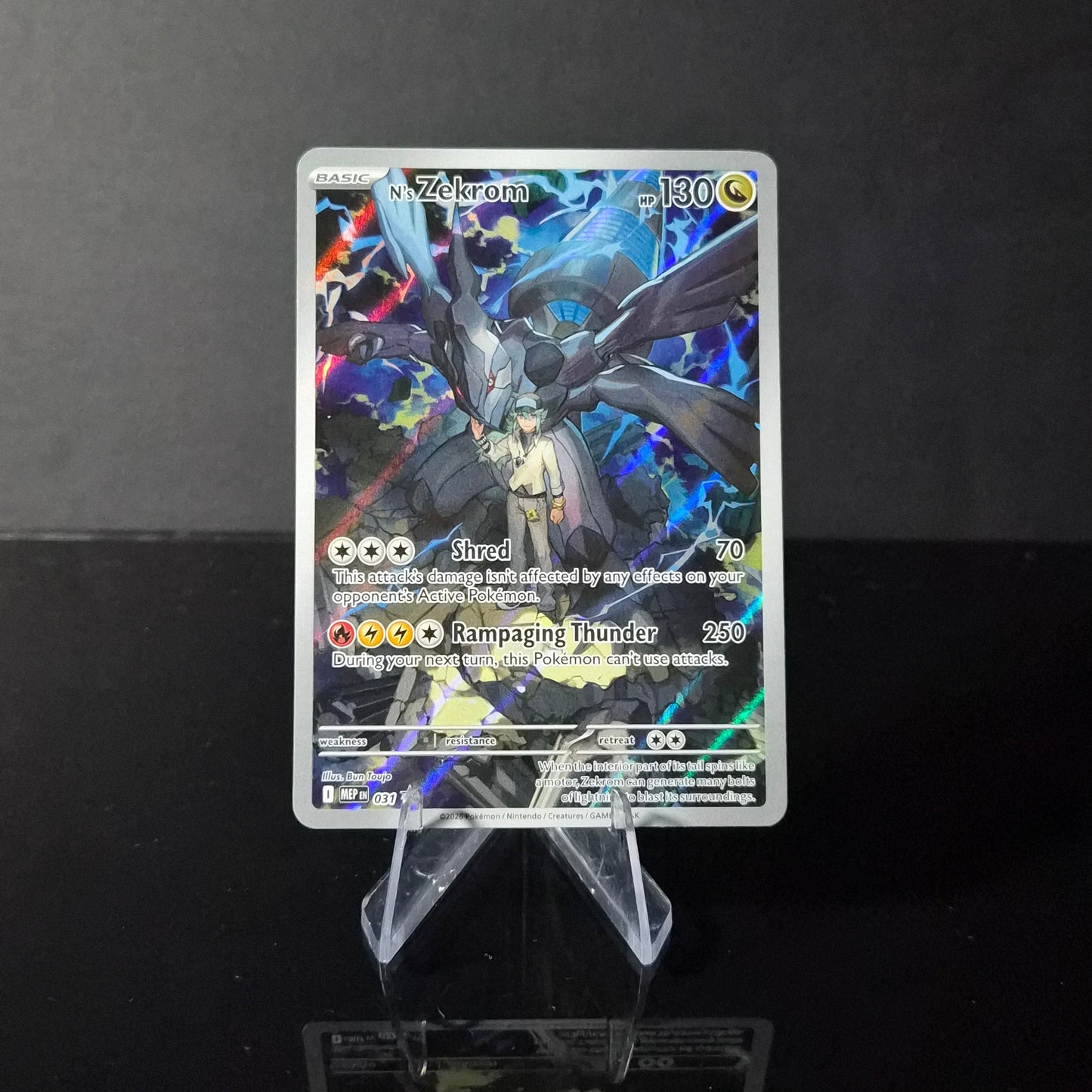 N's Zekrom #31