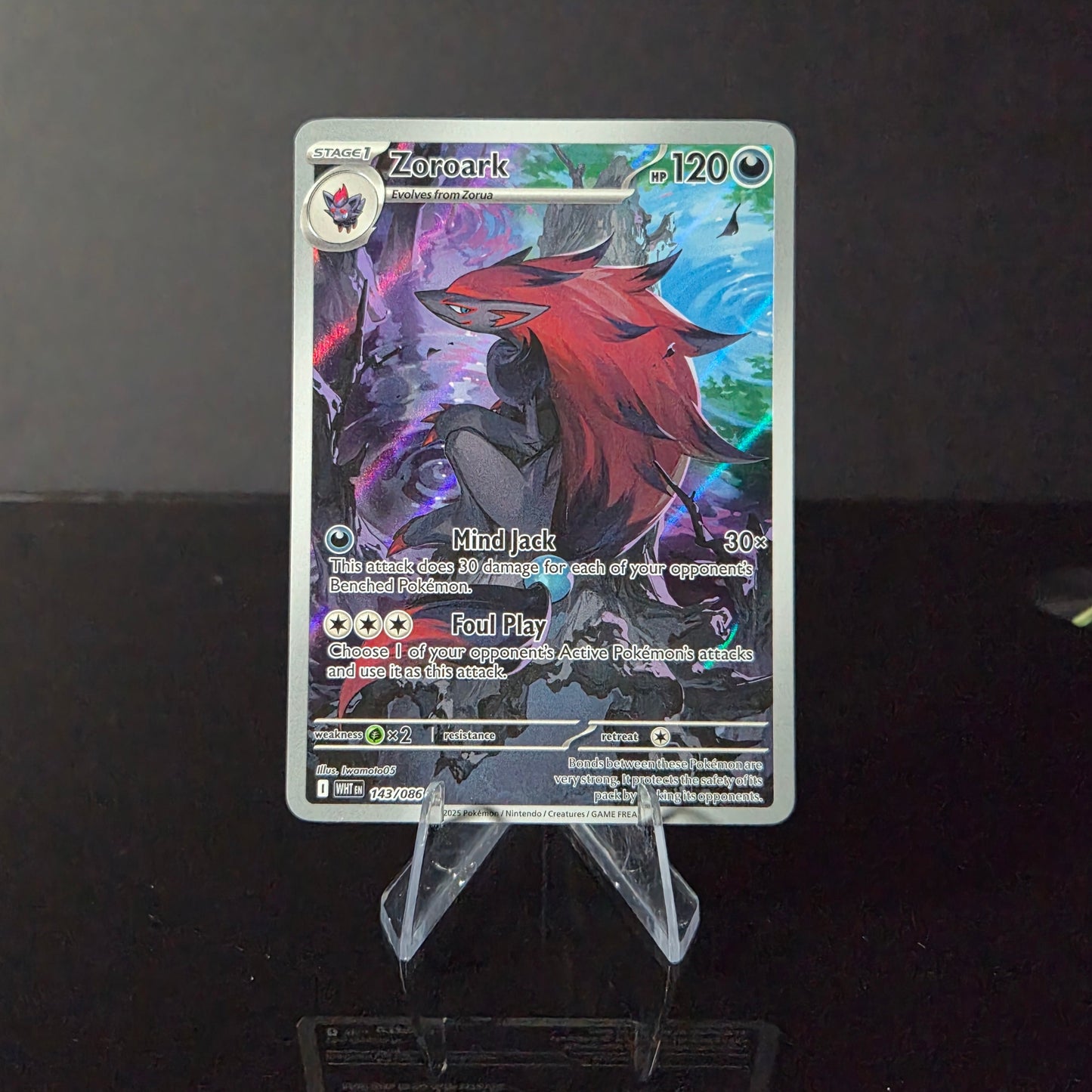 Zoroark #143
