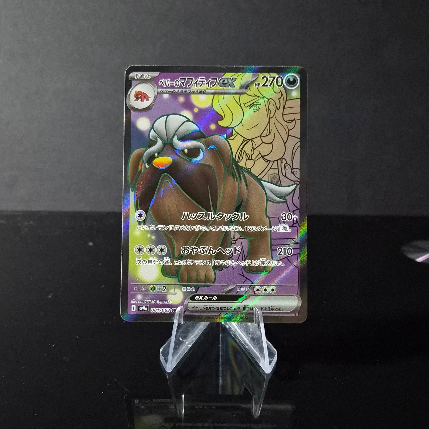 Arven's Mabostiff EX #81