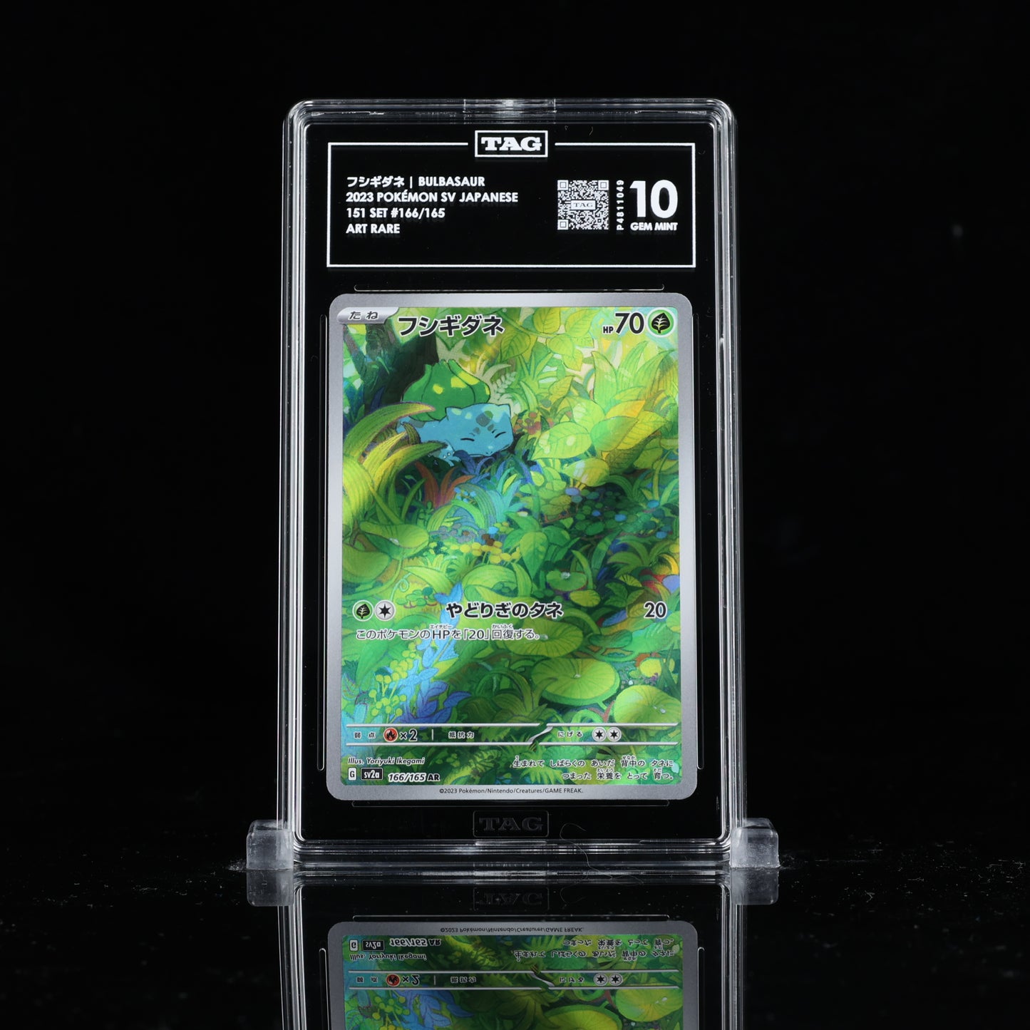 フシギダネ BULBASAUR