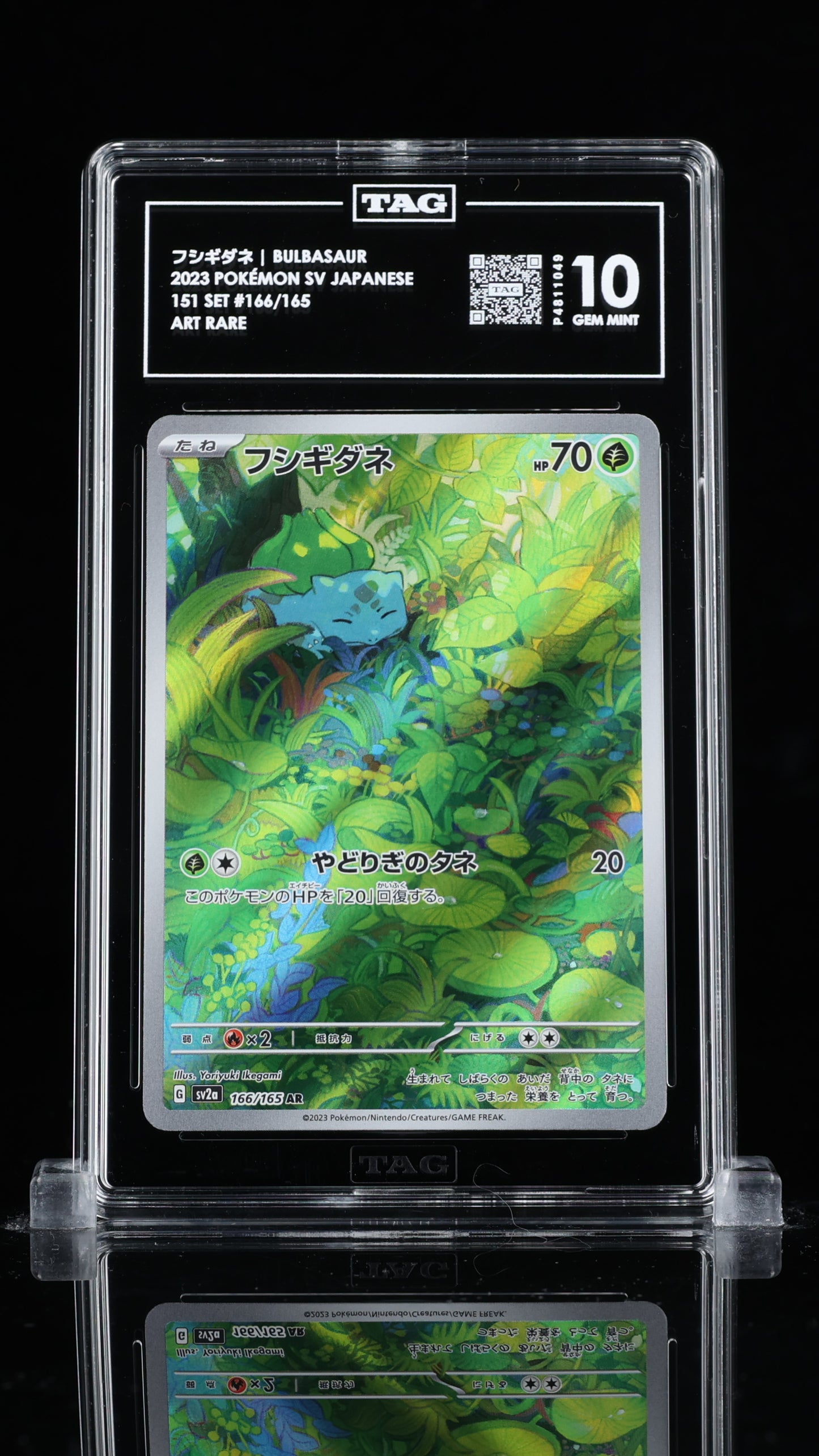 フシギダネ BULBASAUR