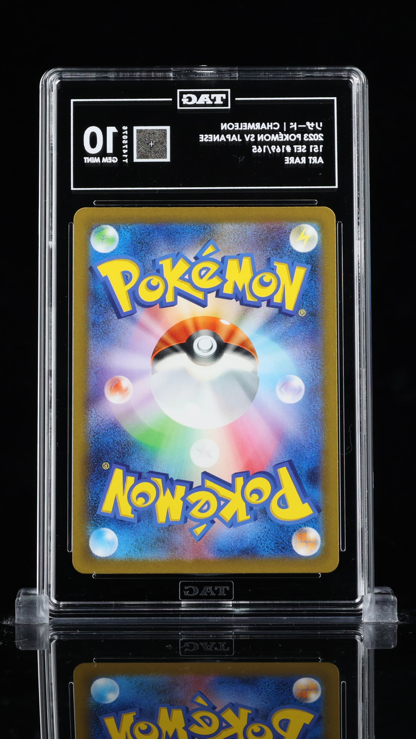 リザード CHARMELEON