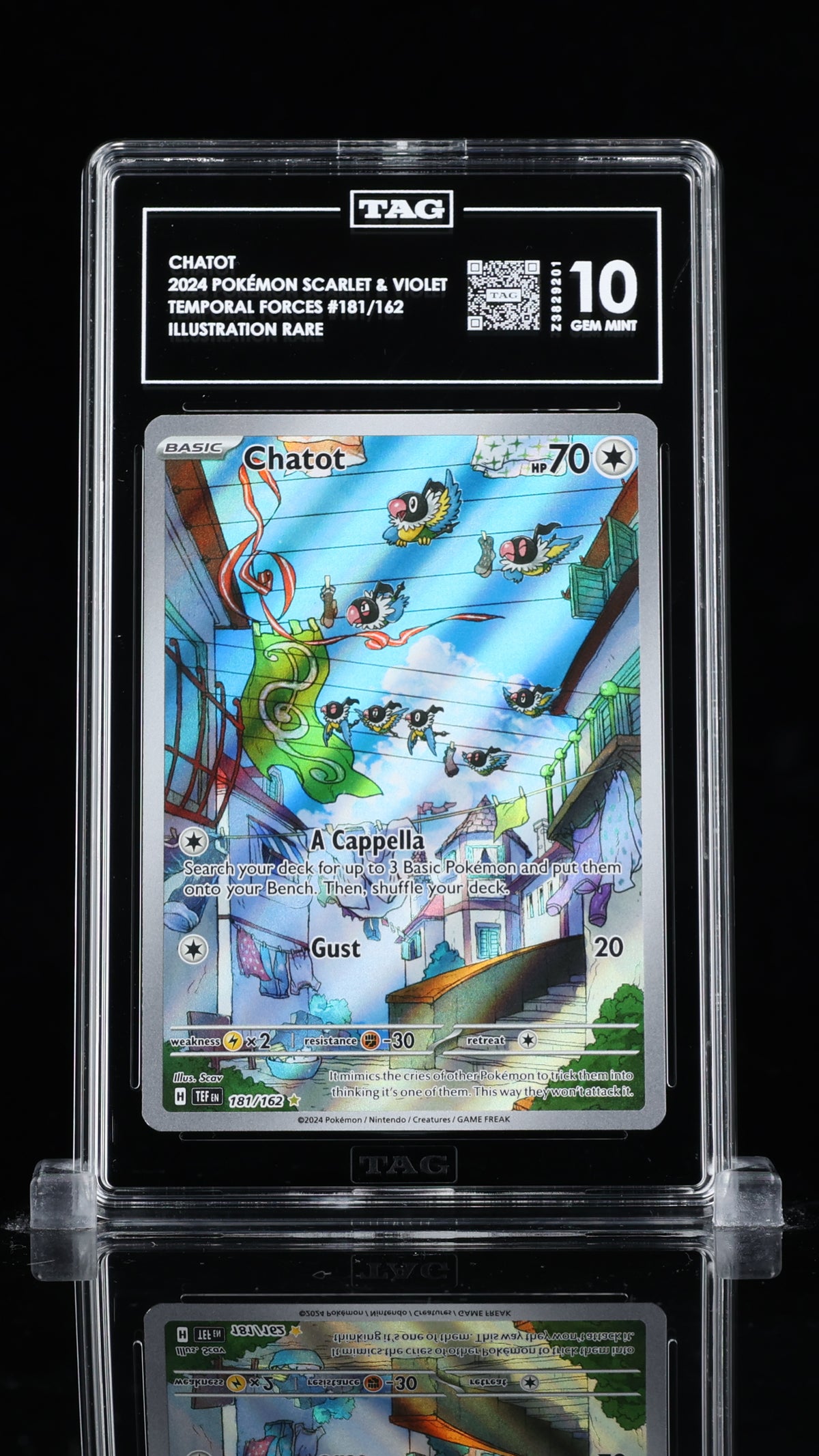 Berkeley Chatot CHATOT – Péko